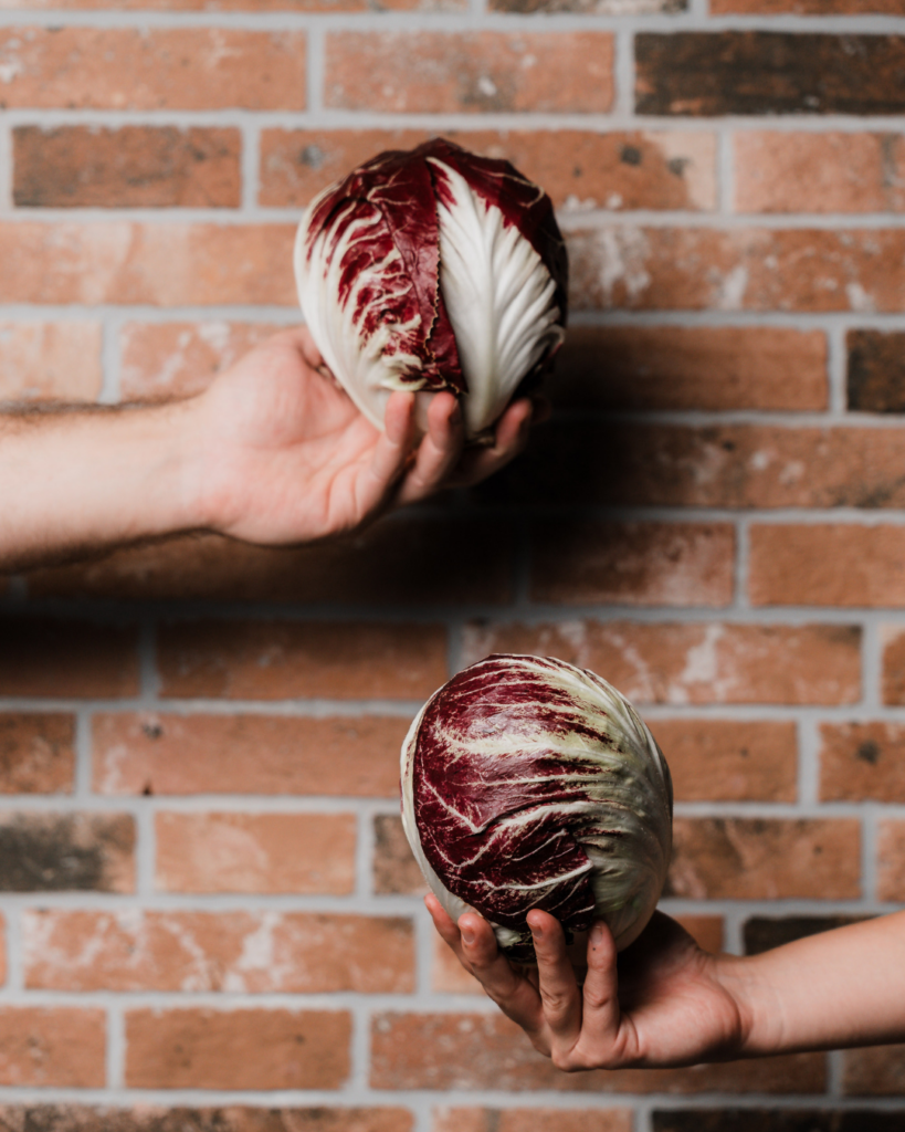2 cespi di radicchio nella mani che usiamo come ingrediente stagionale sulla migliore pizza in centro a Bologna