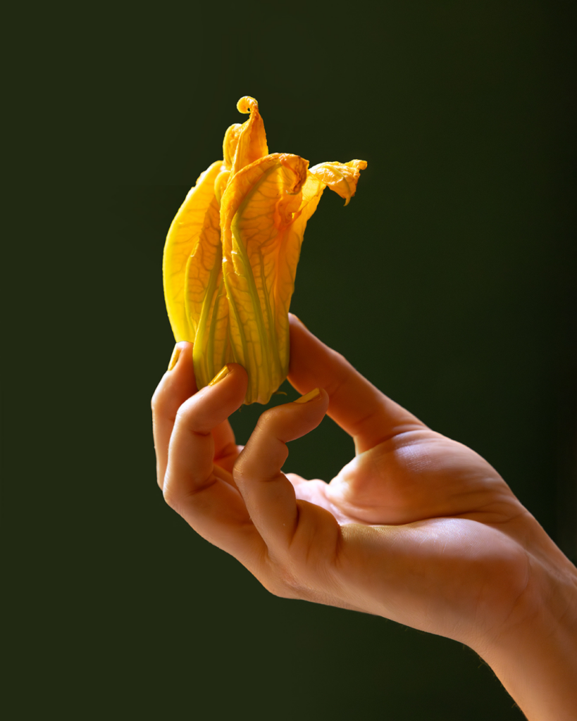 mano che tiene un fiore di zucca che viene usato sulla migliore pizza in centro a Bologna